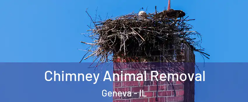  Chimney Animal Removal Geneva - IL