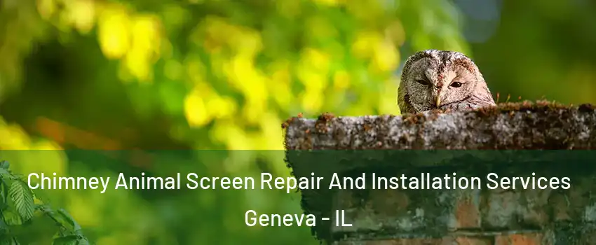  Chimney Animal Screen Repair And Installation Services Geneva - IL