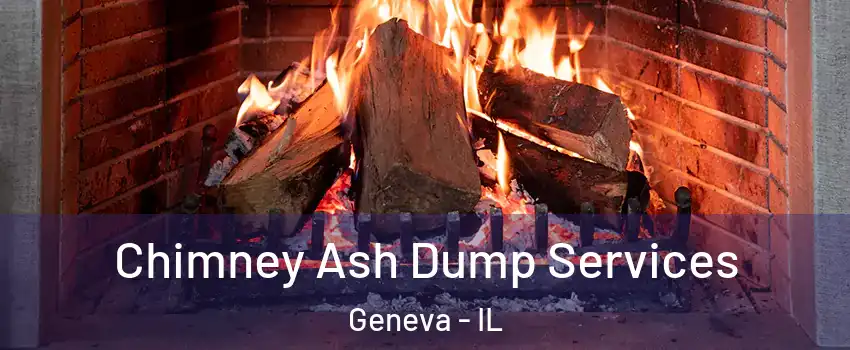  Chimney Ash Dump Services Geneva - IL