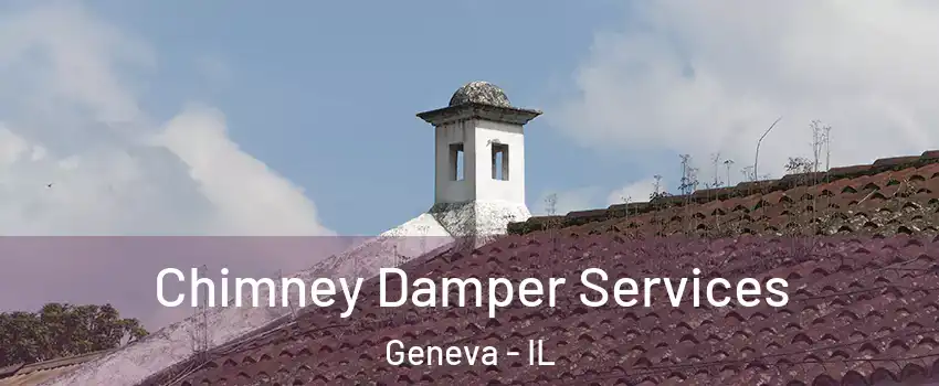  Chimney Damper Services Geneva - IL