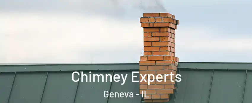 Chimney Experts Geneva - IL