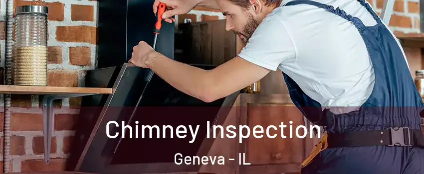  Chimney Inspection Geneva - IL