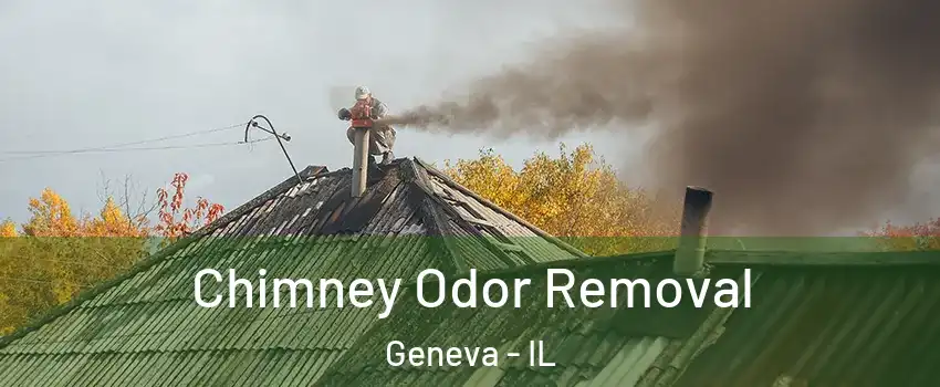  Chimney Odor Removal Geneva - IL