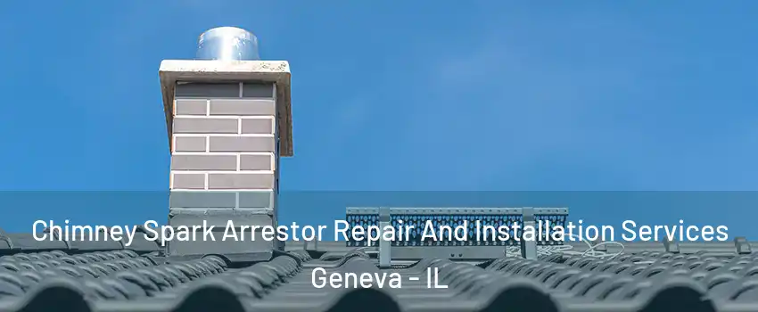  Chimney Spark Arrestor Repair And Installation Services Geneva - IL