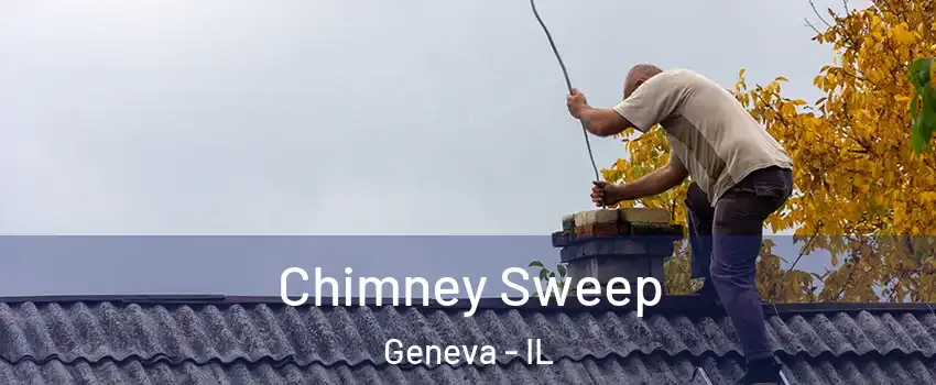  Chimney Sweep Geneva - IL