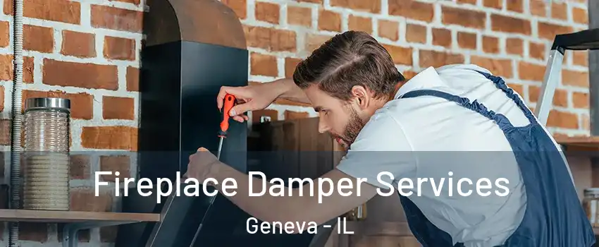  Fireplace Damper Services Geneva - IL