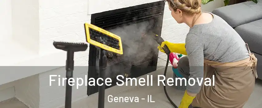 Fireplace Smell Removal Geneva - IL