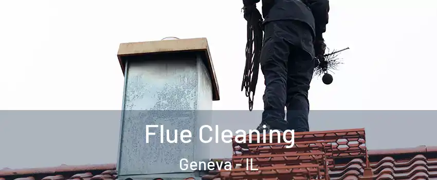  Flue Cleaning Geneva - IL