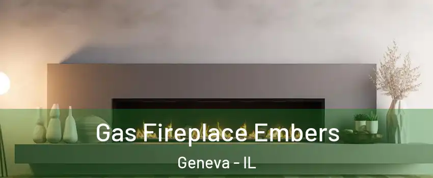  Gas Fireplace Embers Geneva - IL