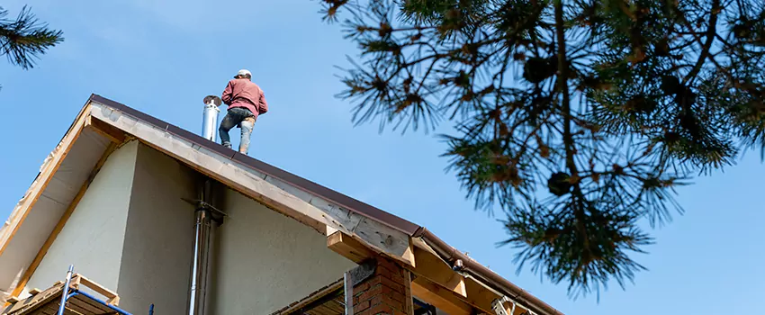 Birds Removal Contractors from Chimney in Geneva, IL