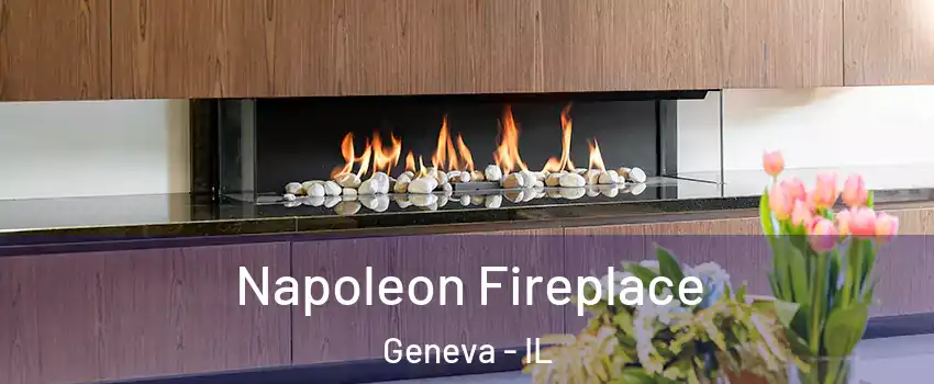  Napoleon Fireplace Geneva - IL