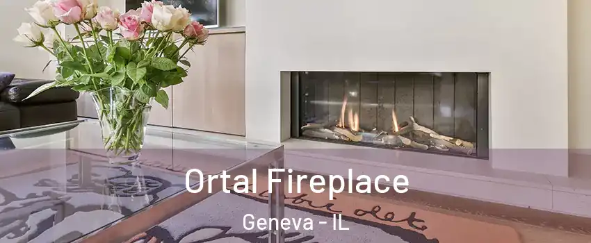Ortal Fireplace Geneva - IL